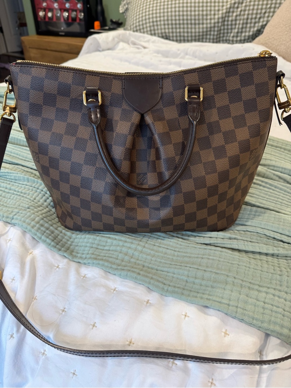 Louis Vuitton Damier Ebene Siena PM